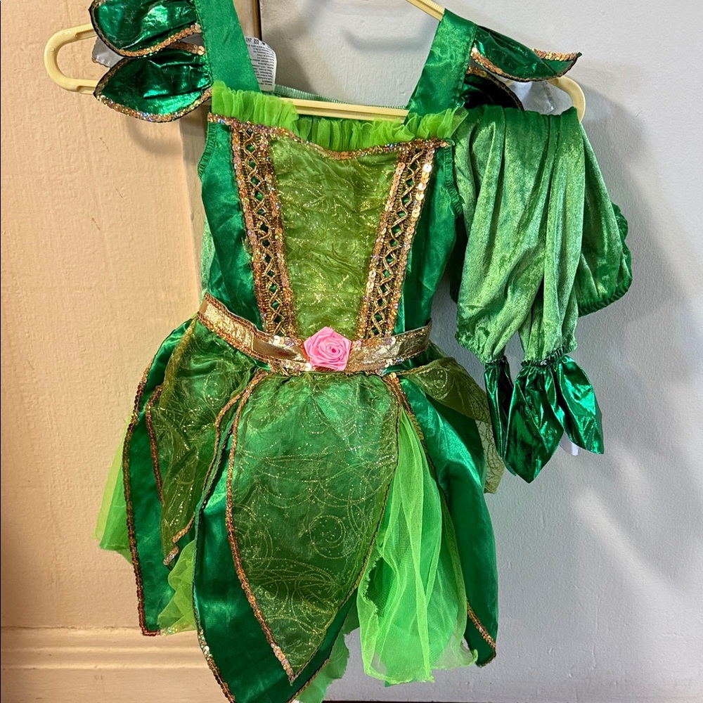 Green Fairy Costume 2Y